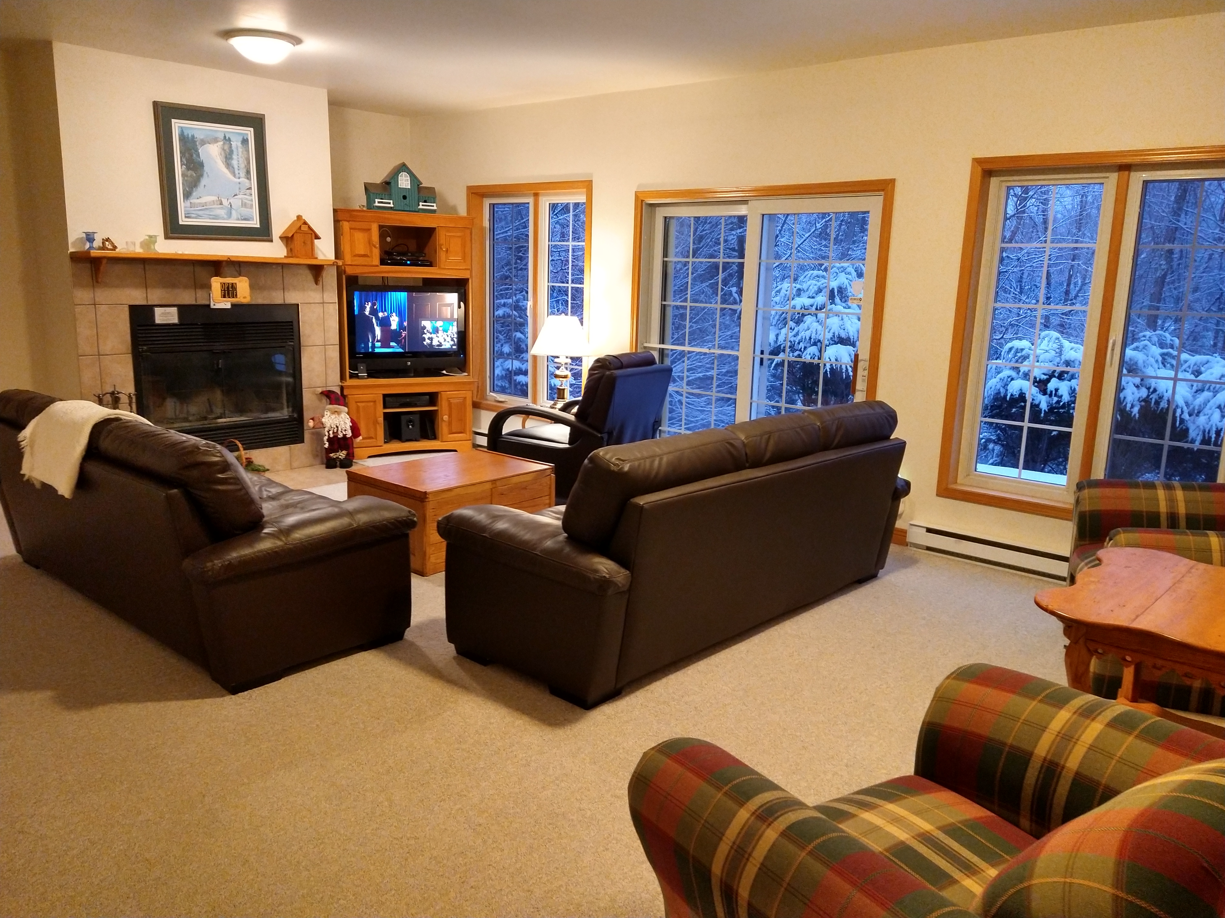 Lower Level Family Room